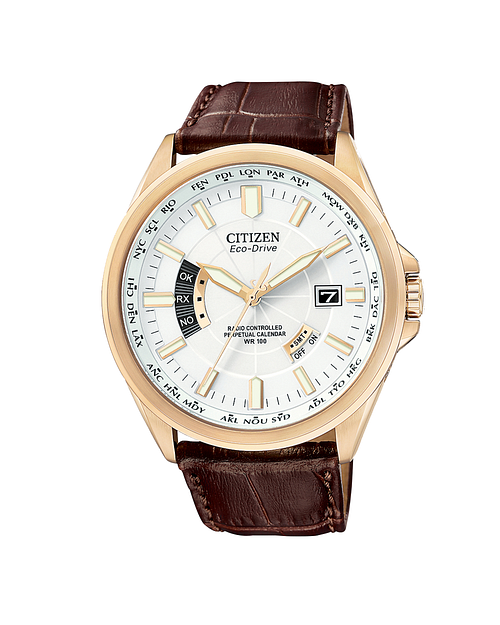 Citizen eco drive world perpetual online